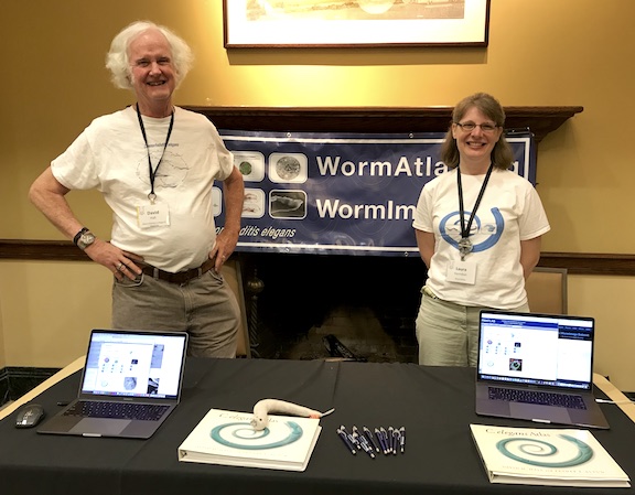 WormAtlas Booth Aging 2018